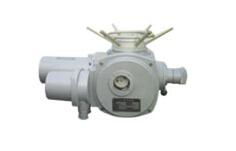 核級閥門電動裝置的產(chǎn)品分類,核級閥門電動裝置的產(chǎn)品分類生產(chǎn)廠家,核級閥門電動裝置的產(chǎn)品分類價格